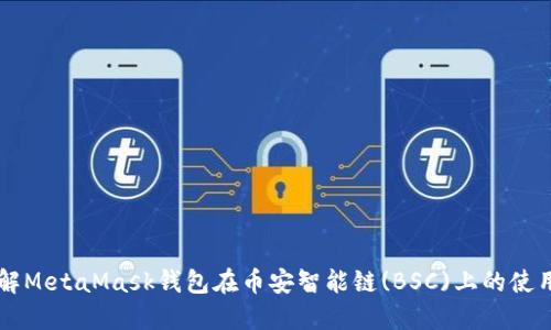 深入了解MetaMask钱包在币安智能链(BSC)上的使用与配置