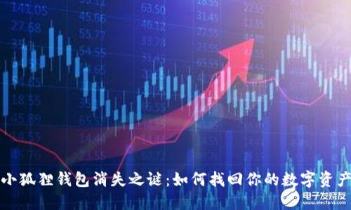 小狐狸钱包消失之谜：如何找回你的数字资产