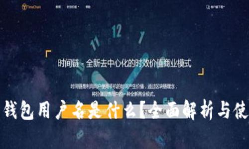 小狐狸钱包用户名是什么？全面解析与使用技巧