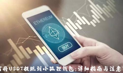
如何将USDT提现到小狐狸钱包：详细指南与注意事项