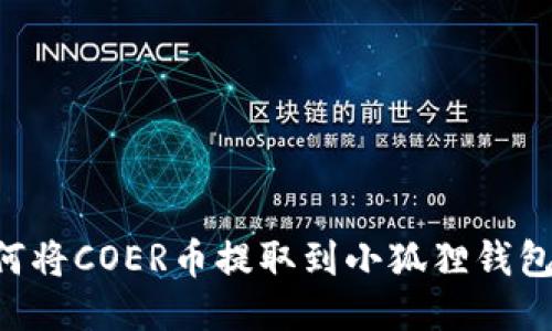 详细指南：如何将COER币提取到小狐狸钱包（MetaMask）