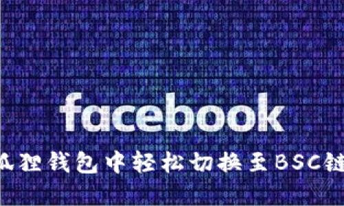 如何在小狐狸钱包中轻松切换至BSC链：详尽指南
