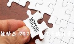  掌握区块链动态：2023年最佳区块链资讯网站推荐