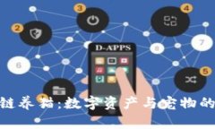 探索区块链养猫：数字资产与宠物的创新结合