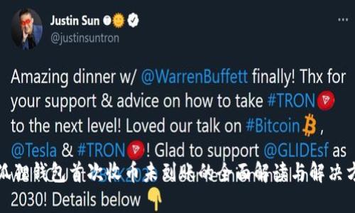 小狐狸钱包首次收币未到账的全面解读与解决方案