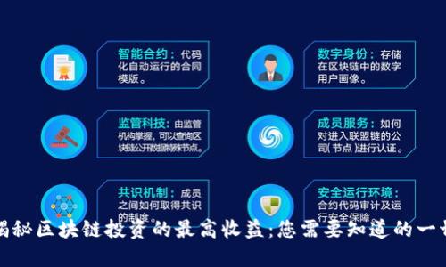 揭秘区块链投资的最高收益：您需要知道的一切