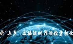 深入解析“上车”：区块链时代的投资机会与风