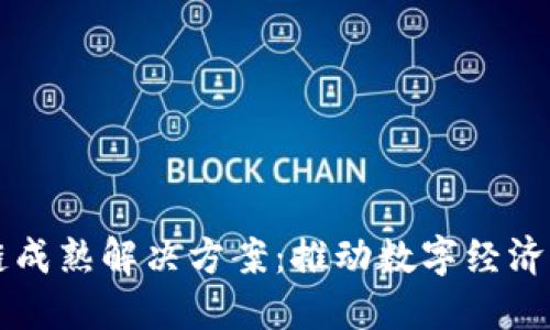 区块链成熟解决方案：推动数字经济的未来