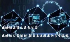 区块链是什么类型公司区块链公司解析：解锁未