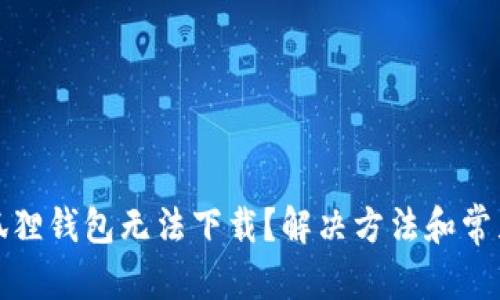 和关键词
为什么小狐狸钱包无法下载?解决方法和常见问题解析