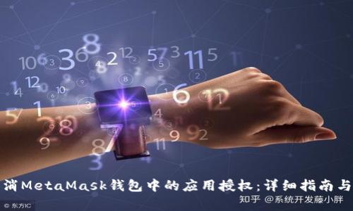 如何有效地取消MetaMask钱包中的应用授权:详细指南与常见问题解答