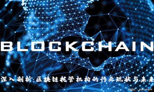 深入剖析:区块链托管机构的行业现状与未来