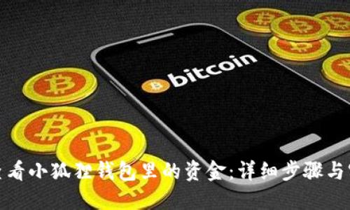 : 如何查看小狐狸钱包里的资金:详细步骤与实用技巧