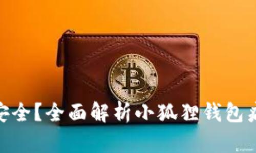 : 小狐狸钱包是否安全?全面解析小狐狸钱包病毒风险与防护策略