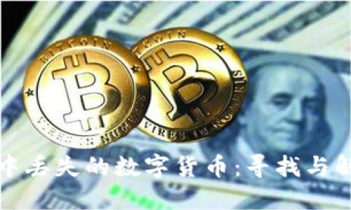 小狐狸钱包中丢失的数字货币:寻找与解决方案详解
