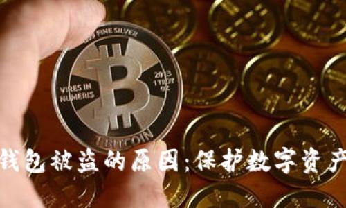 揭开小狐狸钱包被盗的原因:保护数字资产的关键所在