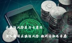 区块链风险是什么意思深入解析区块链风险：挑
