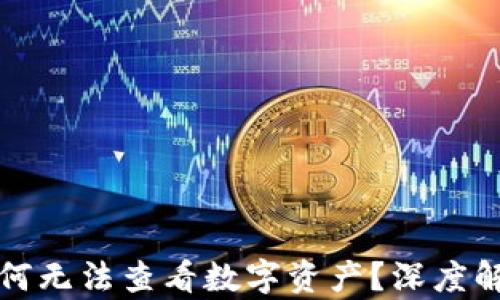 小狐狸钱包为何无法查看数字资产?深度解析及解决方案