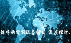 riaoti区块链中的分割现象解析：深度探讨、影响