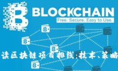 全面解读区块链项目排线：技术、策略与实践