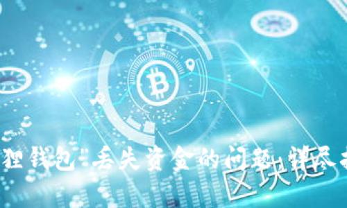 如何解决“小狐狸钱包”丢失资金的问题:详尽指南与案例分析