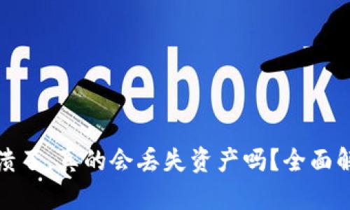 小狐狸钱包崩溃了,真的会丢失资产吗?全面解析与应对方案