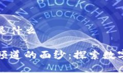 区块链频道是什么揭开区块链频道的面纱：探索