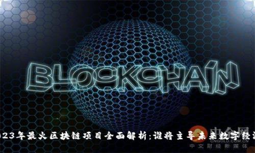 2023年最火区块链项目全面解析:谁将主导未来数字经济?