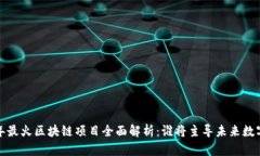 2023年最火区块链项目全面解析：谁将主导未来数