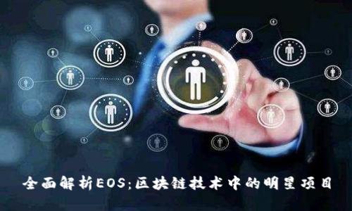全面解析EOS:区块链技术中的明星项目