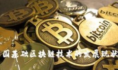 深入探究中国基础区块链技术的发展现状与未来