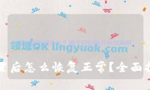 小狐狸钱包重置后怎么恢复正常?全面指南与疑难解答