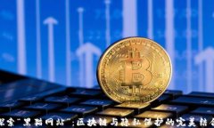 探索“黑猫网站”：区块链与隐私保护的完美结