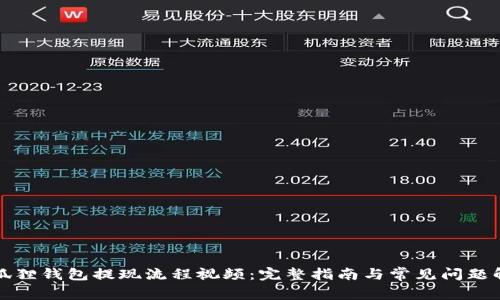 小狐狸钱包提现流程视频:完整指南与常见问题解析
