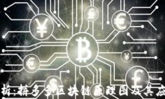 深入解析：拼多多区块链原理图及其应用前景