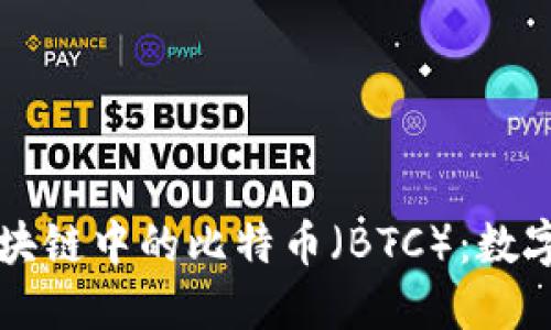 深入了解区块链中的比特币(BTC):数字货币的未来