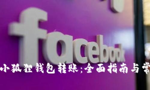 如何成功向小狐狸钱包转账:全面指南与常见问题解答