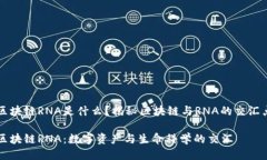 区块链RNA是什么？揭秘区块链与RNA的交汇点区块