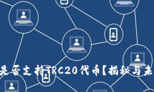 MetaMask钱包是否支持TRC20代币？揭秘与未来发展的可能性