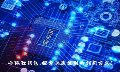 小狐狸钱包:探索快速盈利的创新方式!