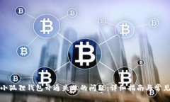 如何解决小狐狸钱包开通失败的问题：详细指南
