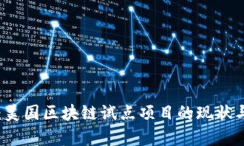 深入解析:美国区块链试点项目的现状与未来展望
