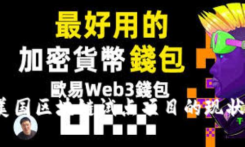 深入解析:美国区块链试点项目的现状与未来展望