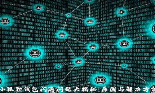 小狐狸钱包闪退问题大揭秘:原因与解决方法