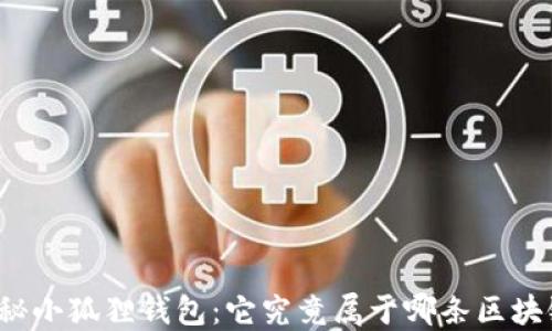 揭秘小狐狸钱包:它究竟属于哪条区块链?