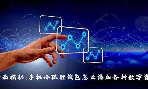 : 全面揭秘:手机小狐狸钱包怎么添加各种数字资产?