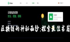 揭开区块链的神秘面纱：探索最佳书籍推荐