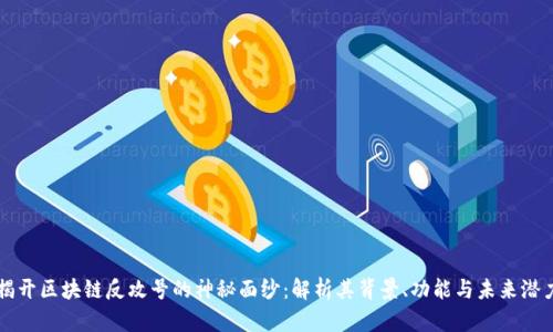 揭开区块链反攻号的神秘面纱：解析其背景、功能与未来潜力