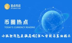 小狐狸钱包是骗局吗？深入分析与真相揭示