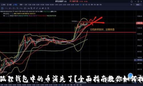 小狐狸钱包中的币消失了?全面指南教你如何找回